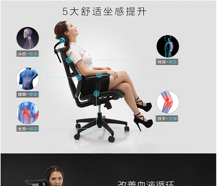 办公椅,电脑椅,职员椅,人体工学椅,椅子图片