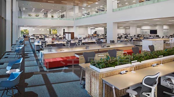 图片44.jpg 图片44.jpg