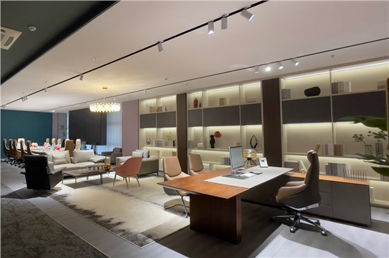 办公家具定制/桌椅柜班台沙发茶几等