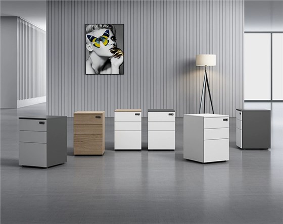 文件柜/活动柜/储物柜