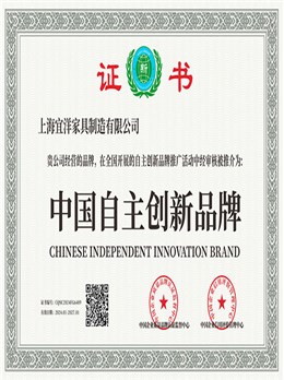 中国自主创新品牌