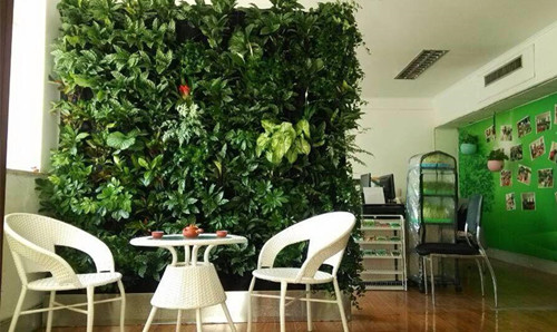 上海时尚办公家具厂家|植物墙空间