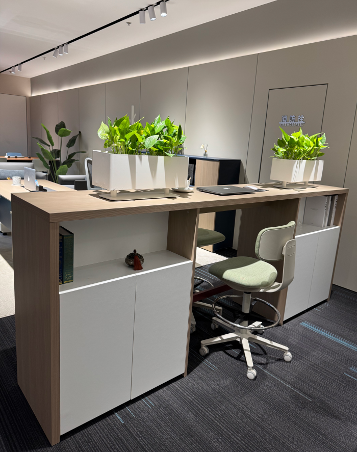 文件柜/储物柜/定制柜/边柜 文件柜/储物柜/定制柜/边柜